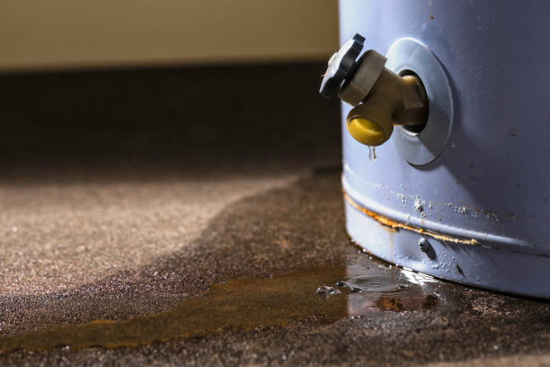 Best 24-hour water damage restoration  in Kannapolis, NC