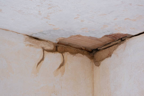 Best 24/7 water damage repair  in Kannapolis, NC