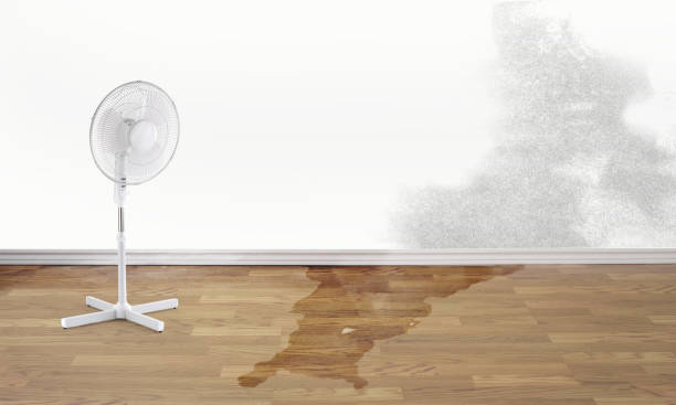 Best Sewage cleanup and water damage restoration  in Kannapolis, NC