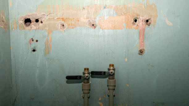 Best Flood damage cleanup  in Kannapolis, NC