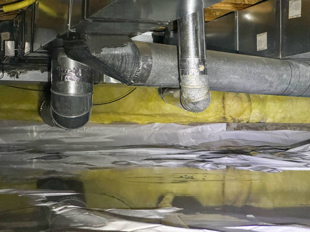 Best Water damage restoration specialists  in Kannapolis, NC