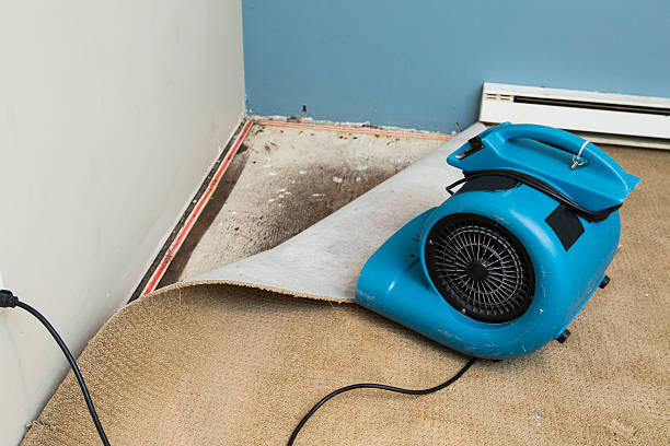 Best Carpet water damage restoration  in Kannapolis, NC